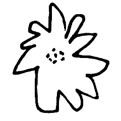 kytka_vetsi